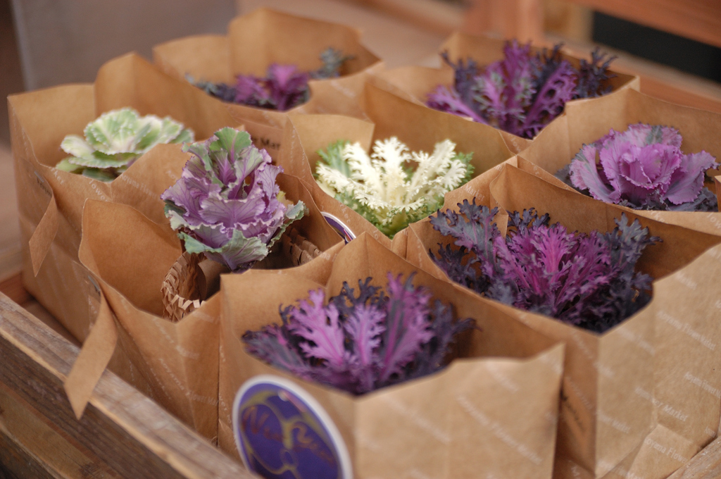 FLOWER SHOP 04