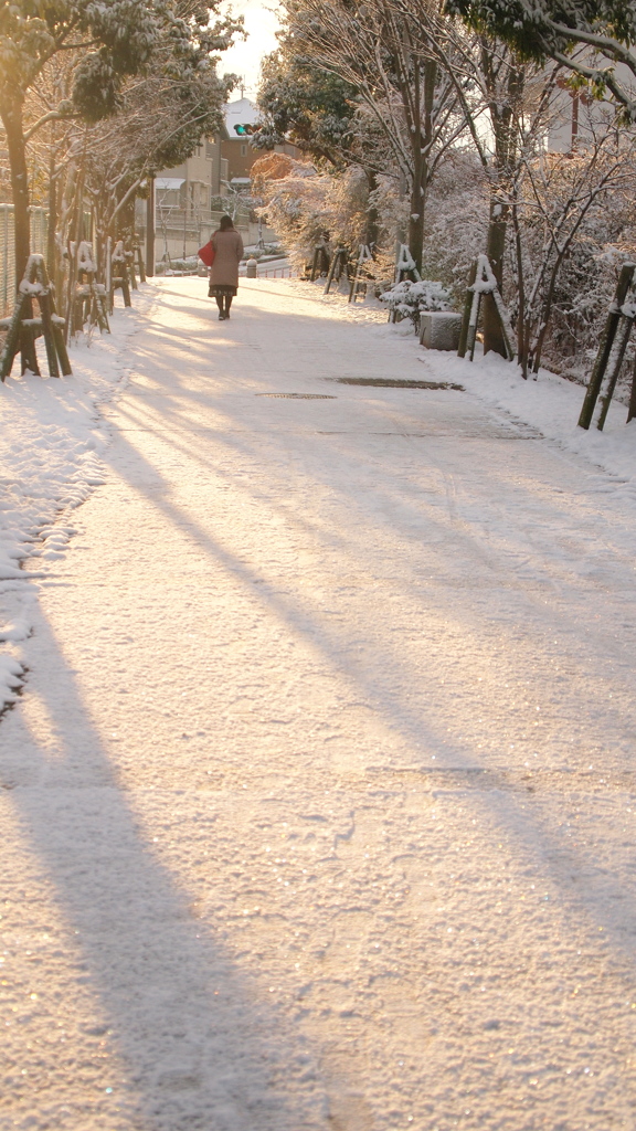 初雪の朝 02