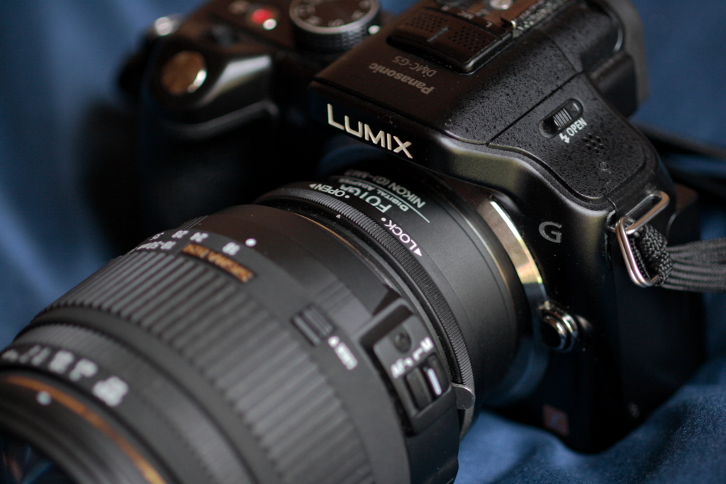 EOS20D 初ショット