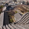 和歌山城散策 04