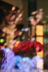 Night Rose☆