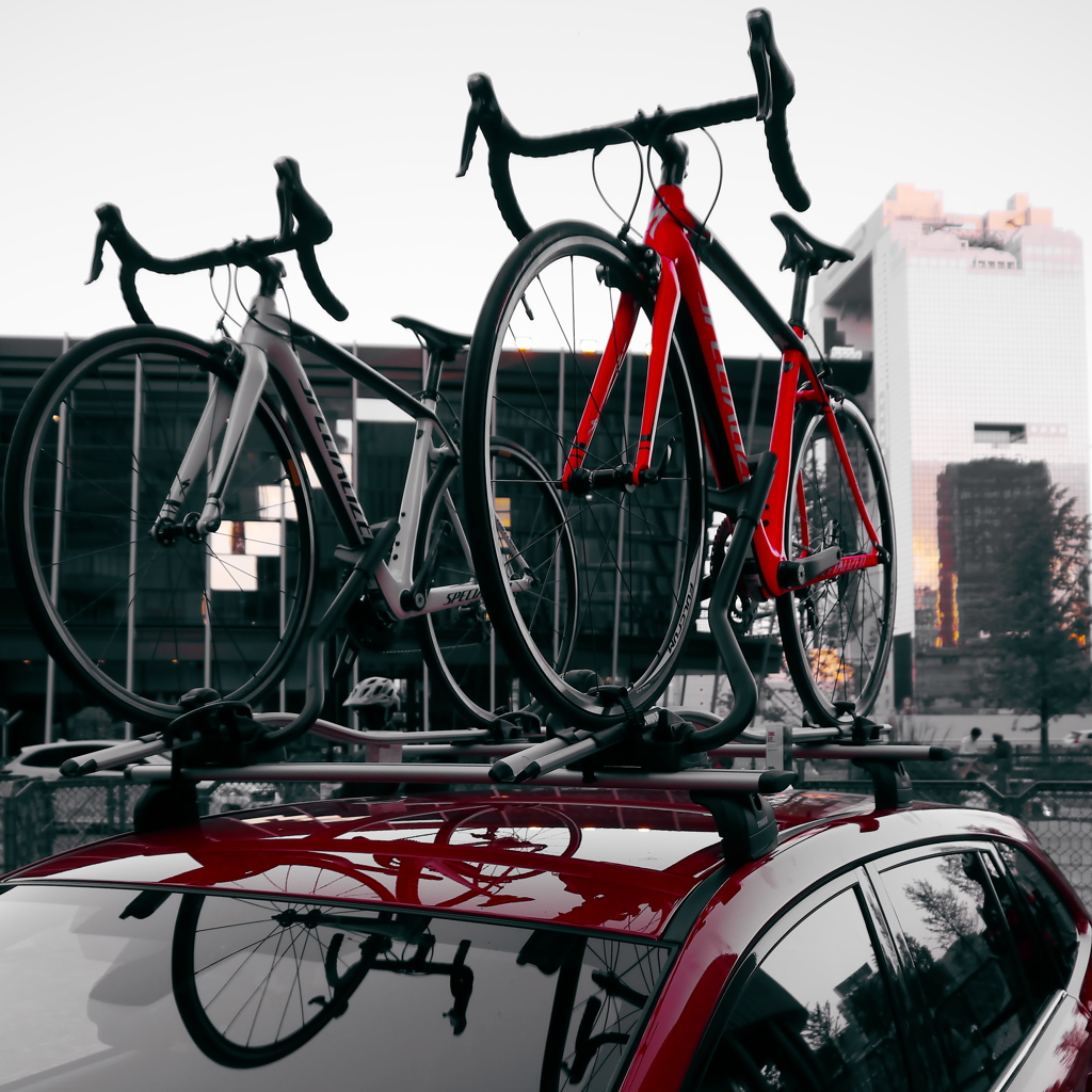 SPECIALIZED 05