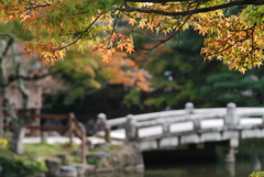 京都の秋 02