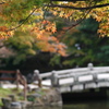 京都の秋 02