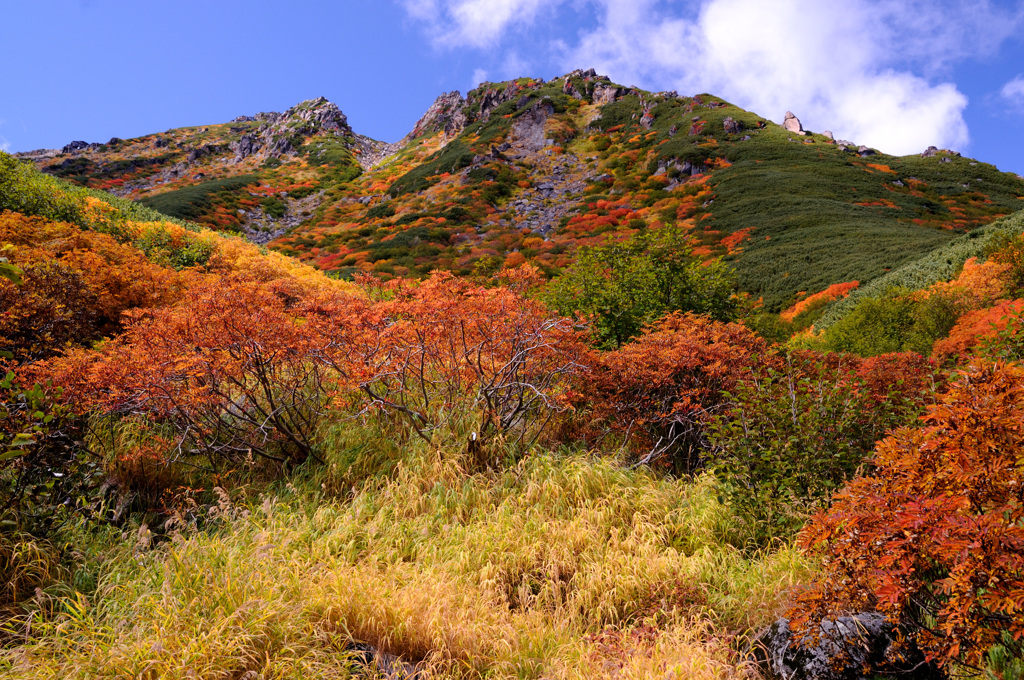 錦秋の御嶽山