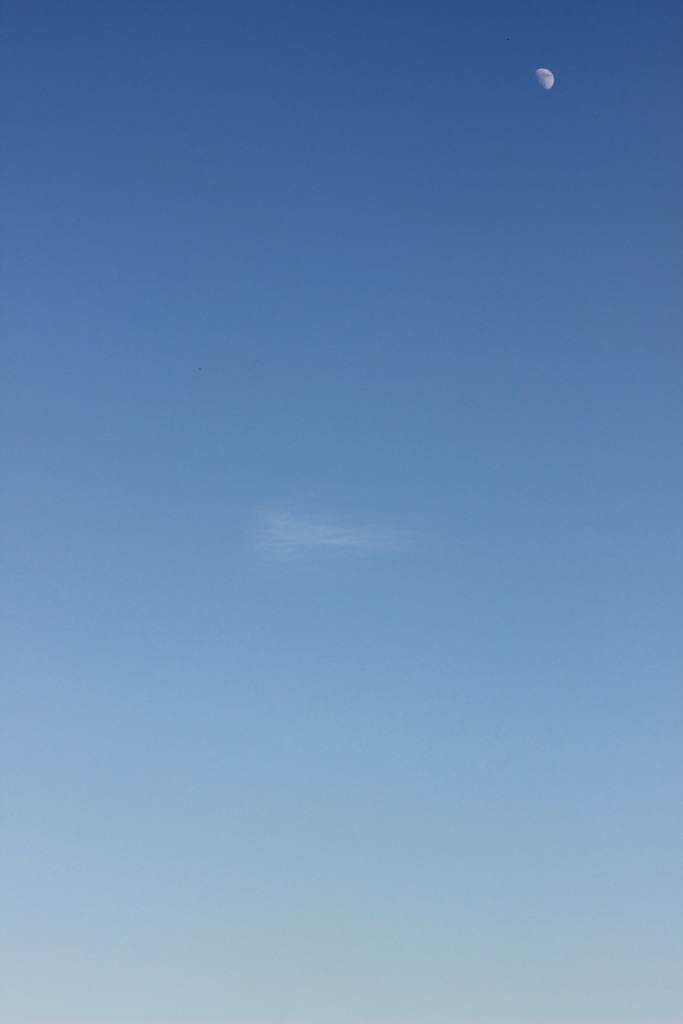 日中のお月さま