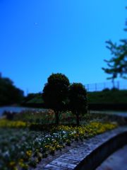 なかよし。