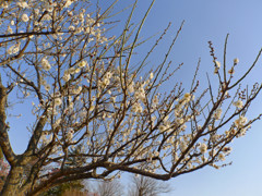 P1020695