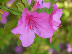 P1020967