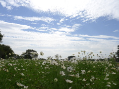 P1020393