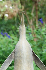 IMGP6508