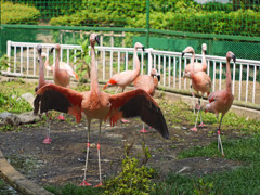 P1030016