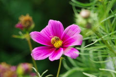 IMGP6729