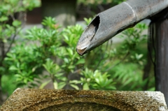 所沢航空記念公園3