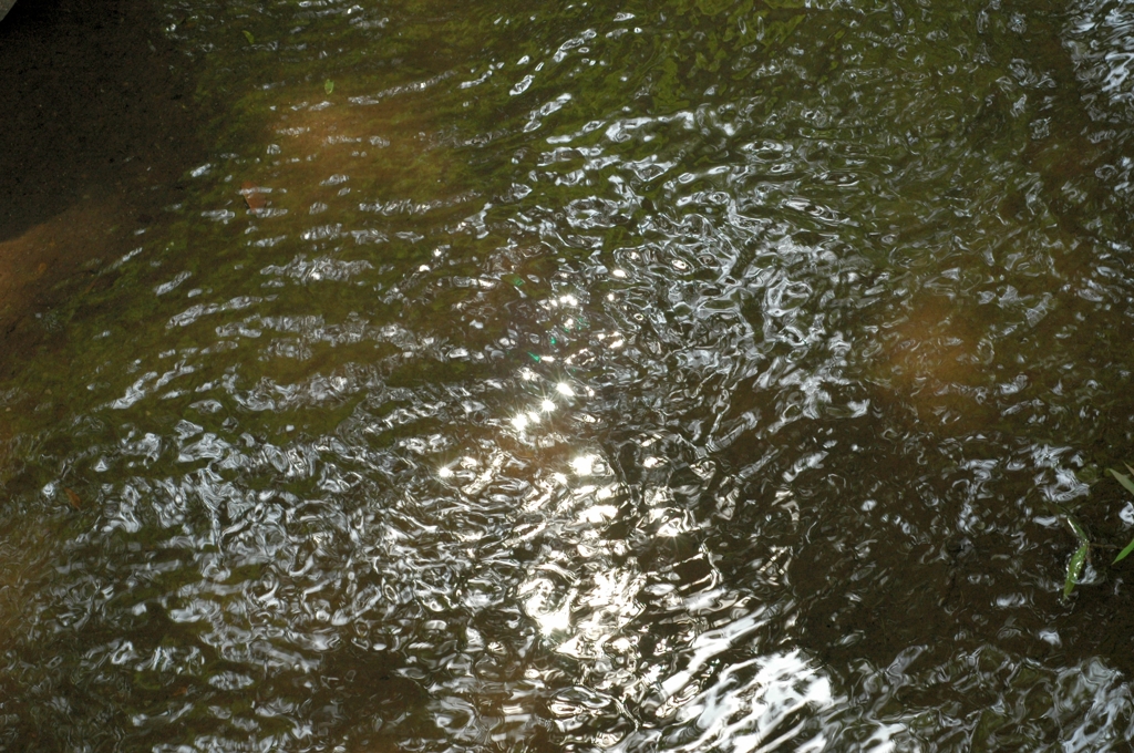 所沢航空記念公園4