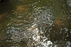 所沢航空記念公園4