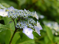 P1030301