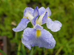 P1030326