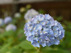P1030083