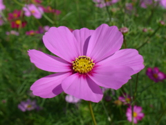 P1020384