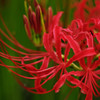 K7S_5862