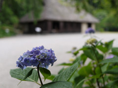 P1030087