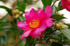K7S_4841