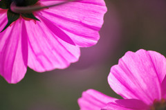 K7S_4437