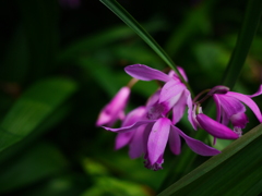 P1020971