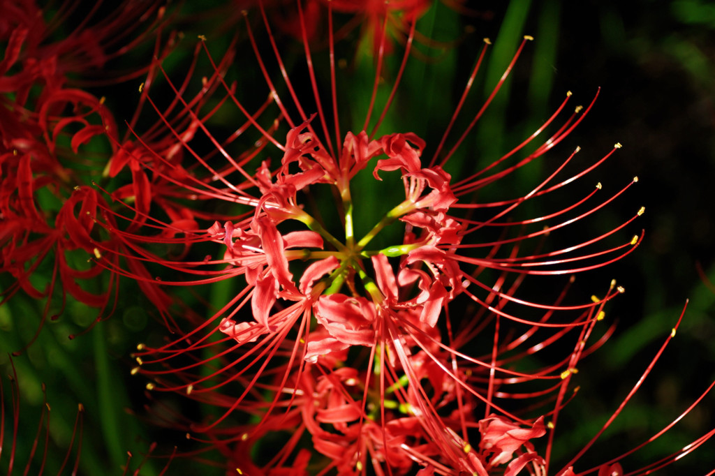 K7S_5826