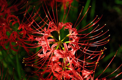 K7S_5826