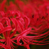 K7S_5861