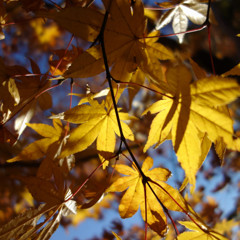 DSC01570