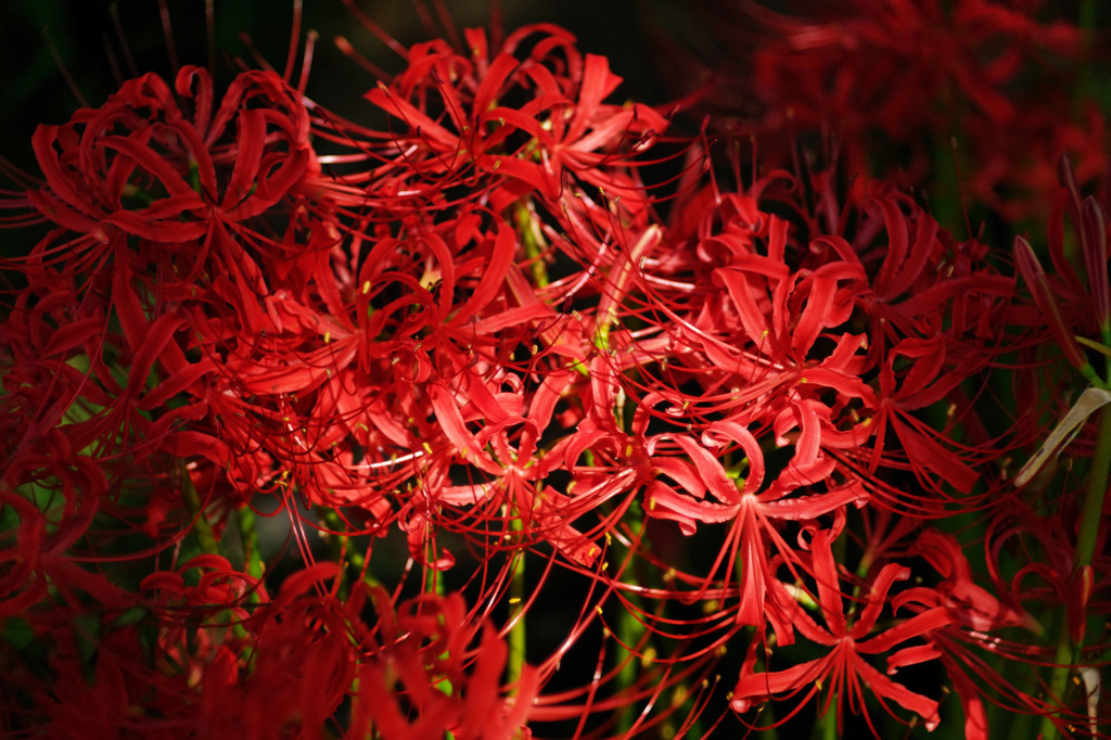 K7S_5814