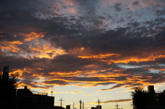 DSC00671