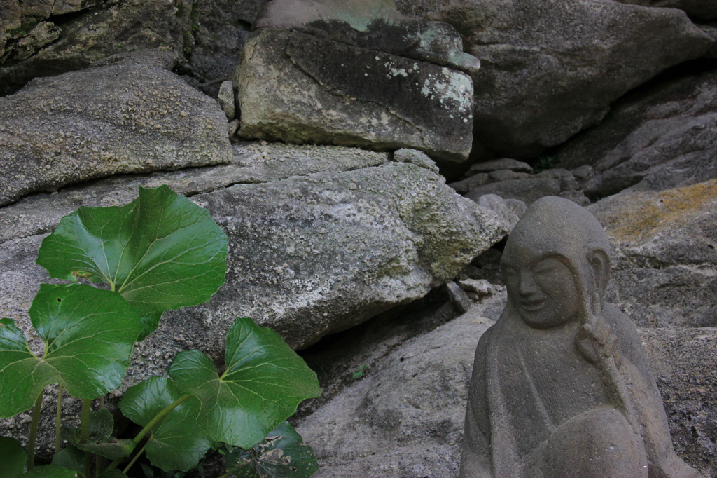 IMG_4133
