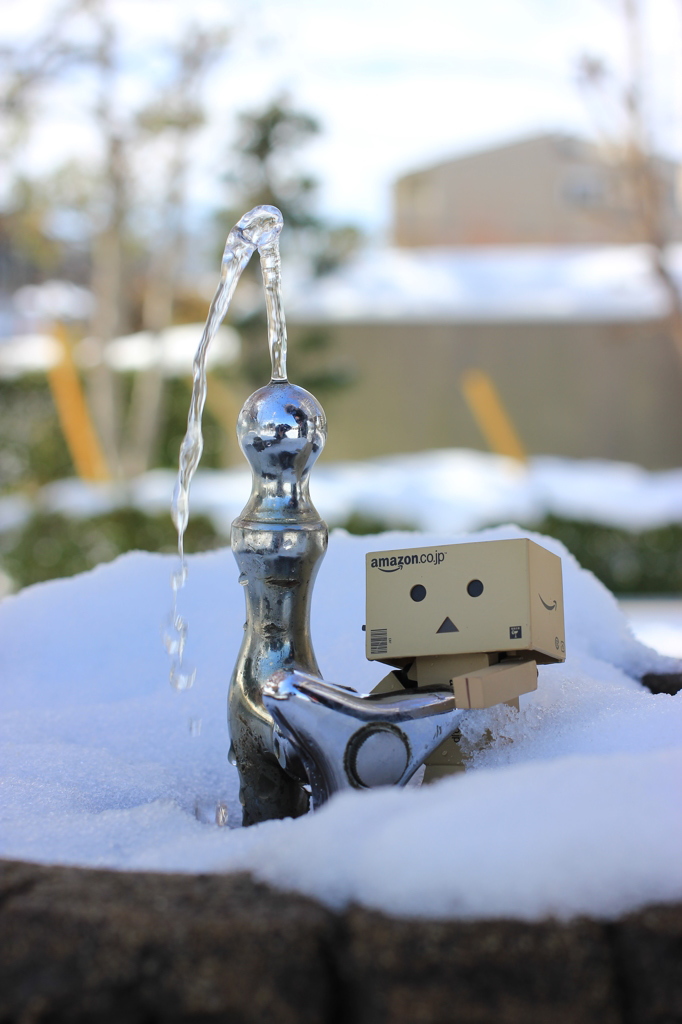 雪遊び？水遊び？