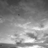 IMG_8703