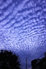 雲1