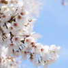 DSC01987