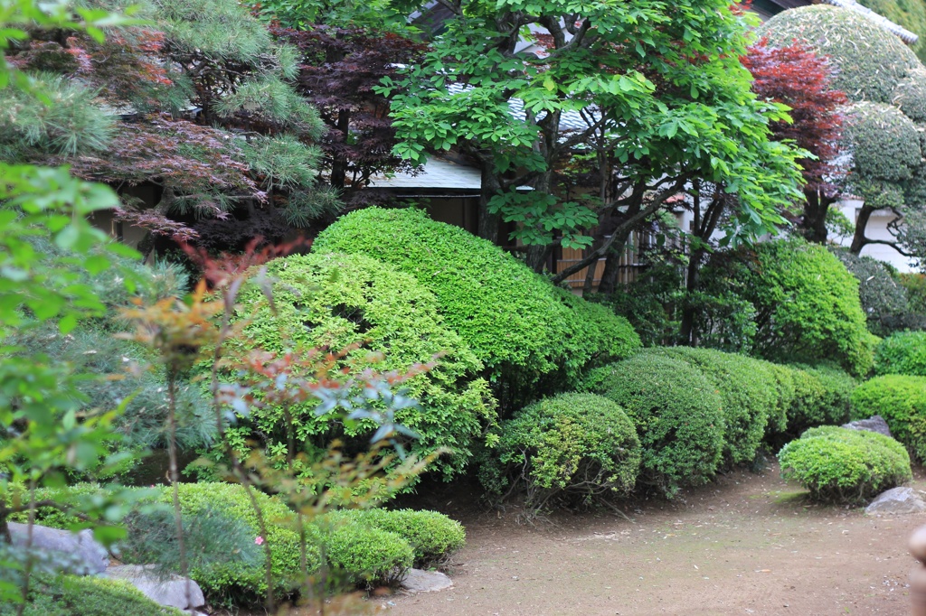 茂林寺の庭