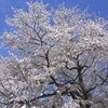 DSC01959
