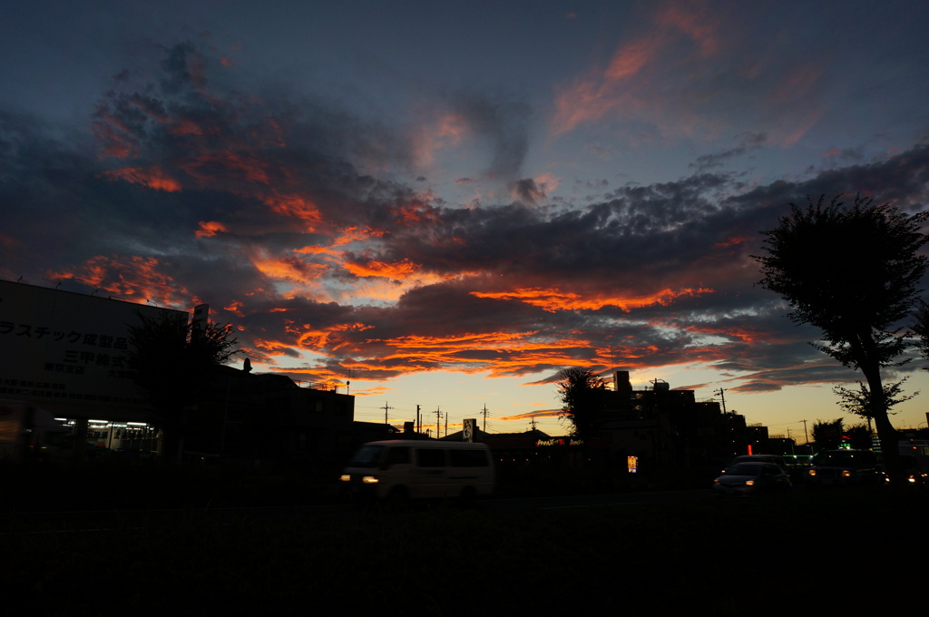 DSC00675