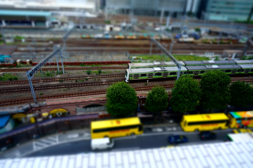 DSC00181