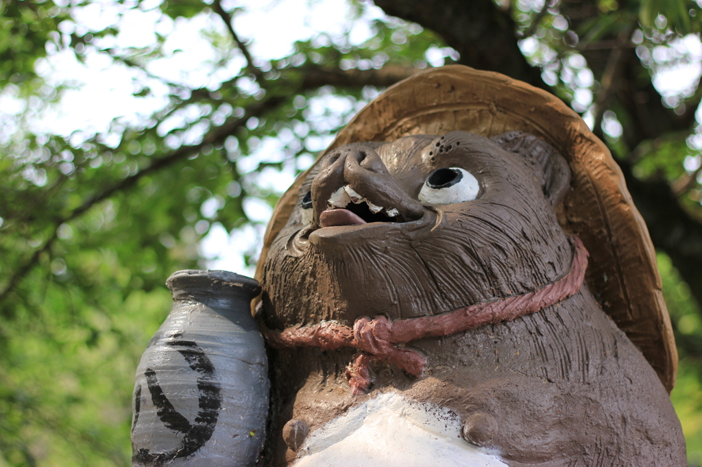 茂林寺たぬき１