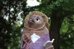 茂林寺たぬき２