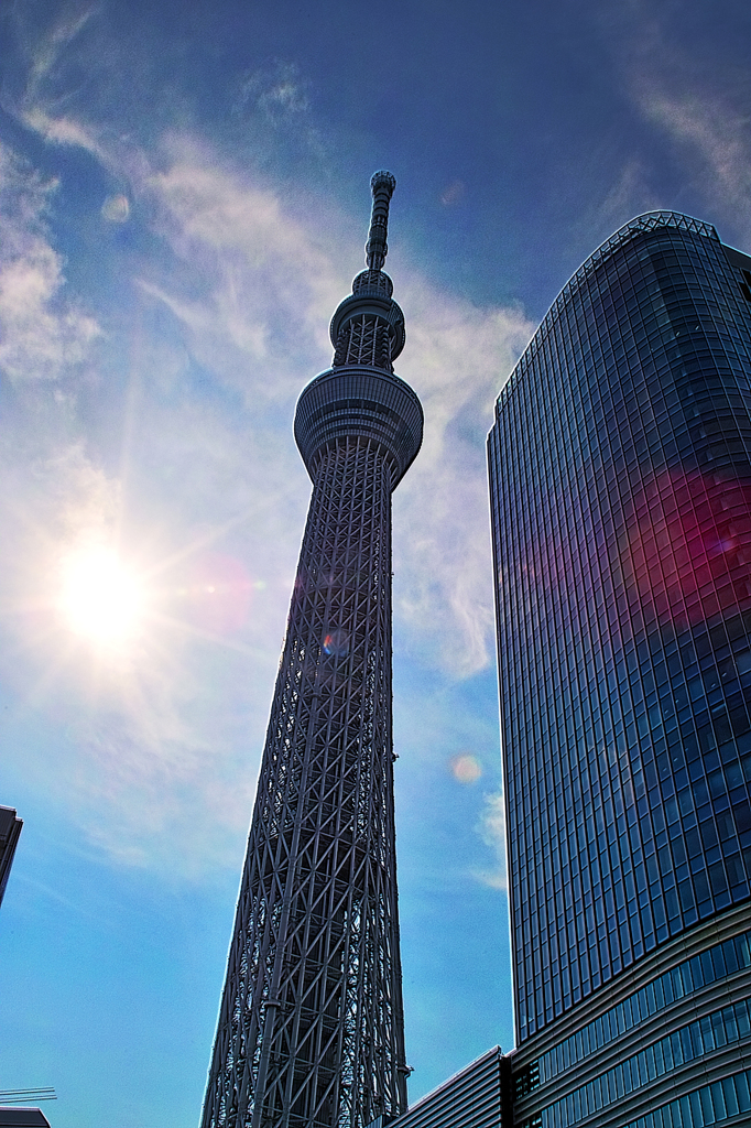 逆光のスカイツリーHDR