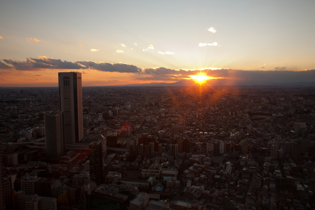 新宿都庁から見た夕日