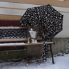 2013rothenburgjan (4)