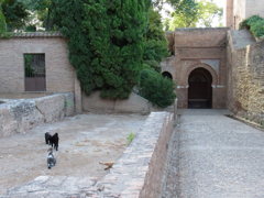 alhambra2012aug2